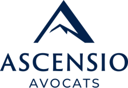 Matthieu Viot, avocat droit du travail Lyon